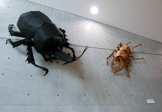 201005281109-DSC03719.jpg