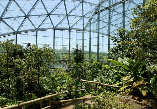 201005281112-DSC03726.jpg