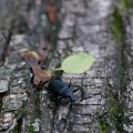 201005281455-DSC04051.jpg