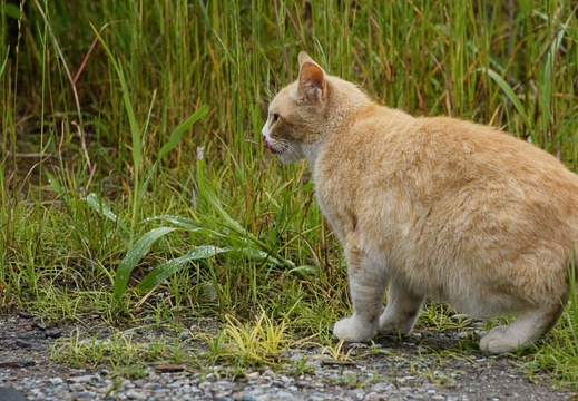 201005291310-DSC04153.jpg