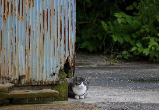 201005291311-DSC04156.jpg