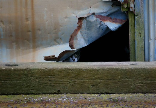 201005291314-DSC04165.jpg