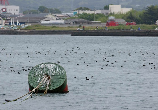 201005291323-DSC04175.jpg