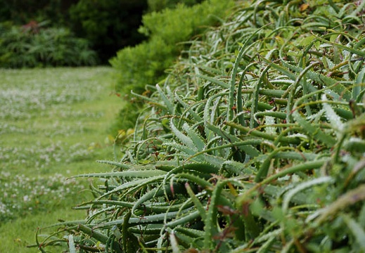 201005291415-DSC04200.jpg