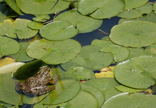 201005311050-DSC04560.jpg