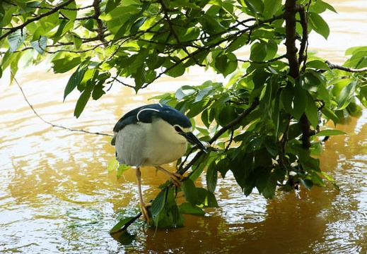 201005311138-DSC04645.jpg