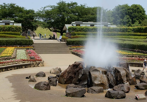 201006011107-DSC04934.jpg