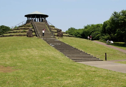 201006011111-DSC04942.jpg