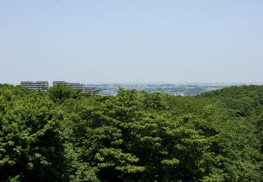201006011113-DSC04945.jpg