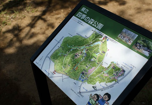 201006011129-DSC04958.jpg