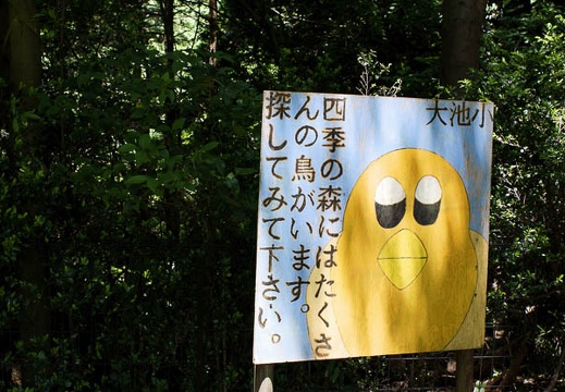 201006011132-DSC04960.jpg