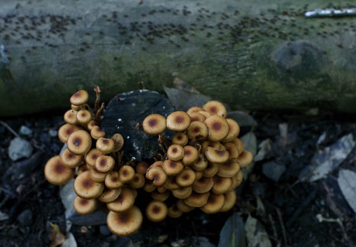 201006011139-DSC04964.jpg