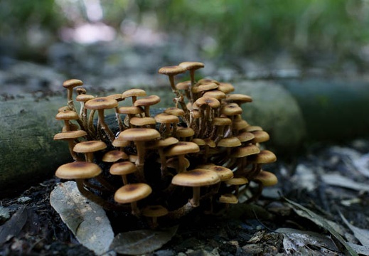 201006011139-DSC04966.jpg