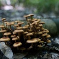 201006011139-DSC04966.jpg