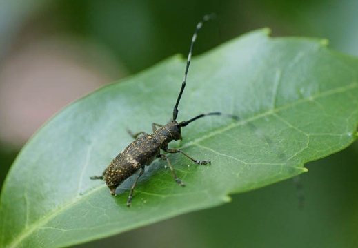 201006011156-DSC04993.jpg