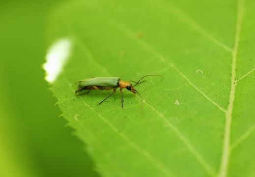 201006011222-DSC05052.jpg