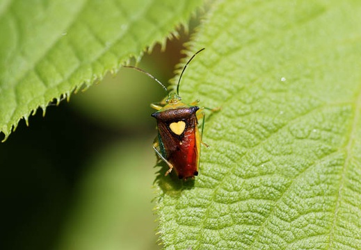 201006011223-DSC05053.jpg