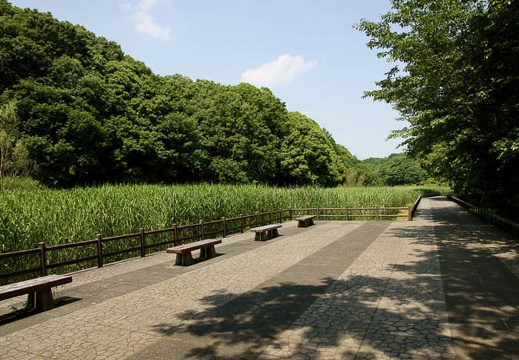 201006011315-DSC05111.jpg