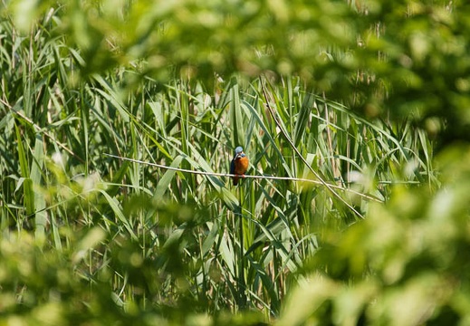 201006011353-DSC05172.jpg