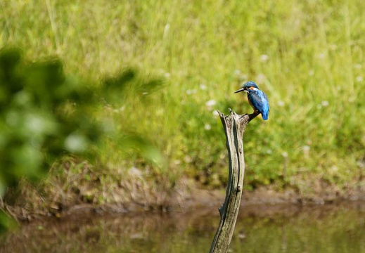 201006011355-DSC05177.jpg