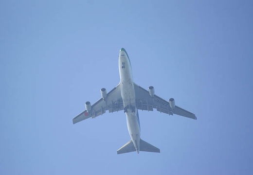201006020743-DSC03937.jpg