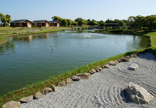 201006020754-DSC03942.jpg