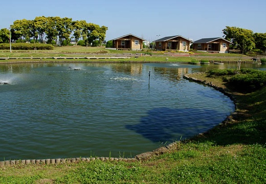 201006020755-DSC03944.jpg