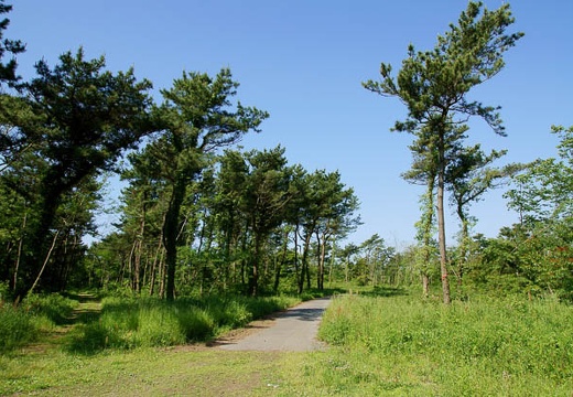 201006020813-DSC03966.jpg
