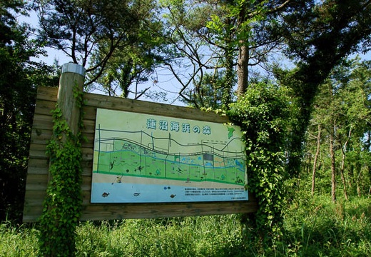 201006020814-DSC03967.jpg