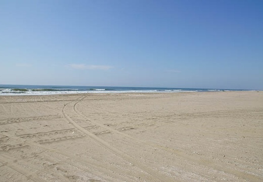 201006020818-DSC03970.jpg