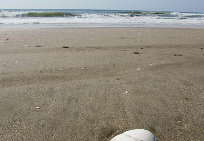 201006020821-DSC03973.jpg