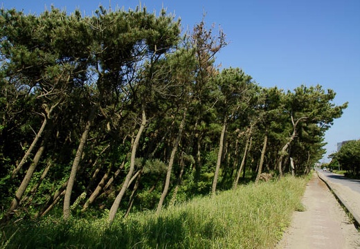201006020830-DSC03989.jpg