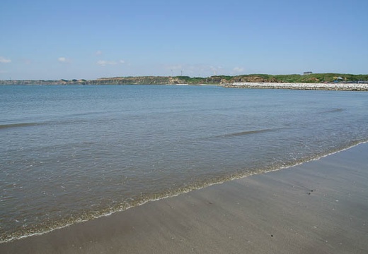 201006021120-DSC04120.jpg