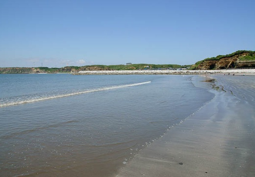 201006021121-DSC04122.jpg