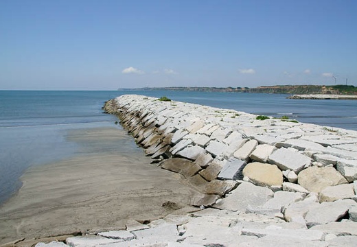 201006021127-DSC04133.jpg