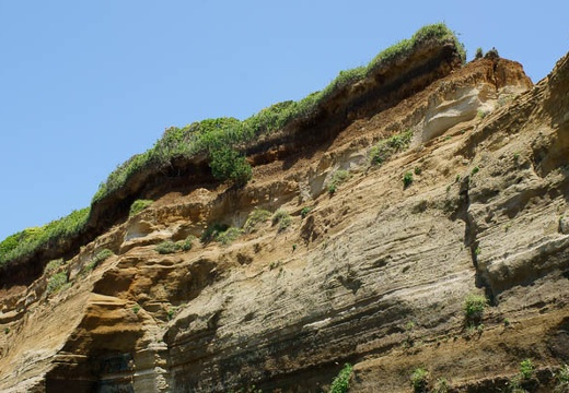 201006021131-DSC04145.jpg