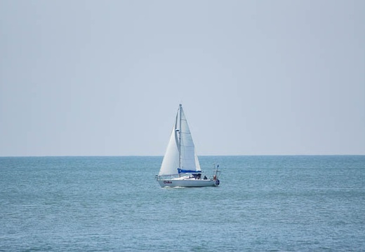201006021145-DSC04164.jpg