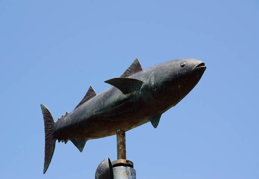 201006021207-DSC04210.jpg