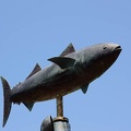 201006021207-DSC04210.jpg