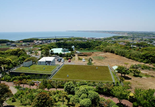 201006021217-DSC04223.jpg