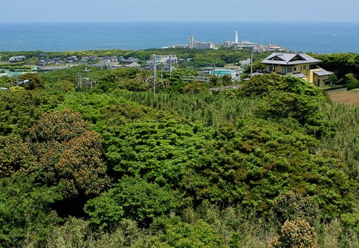 201006021219-DSC04229.jpg