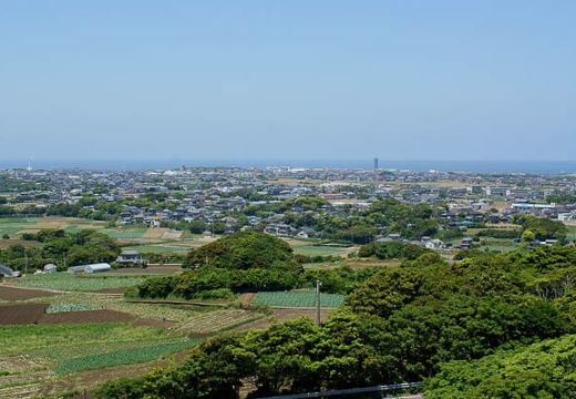 201006021220-DSC04232.jpg