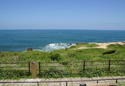 201006021248-DSC04267.jpg