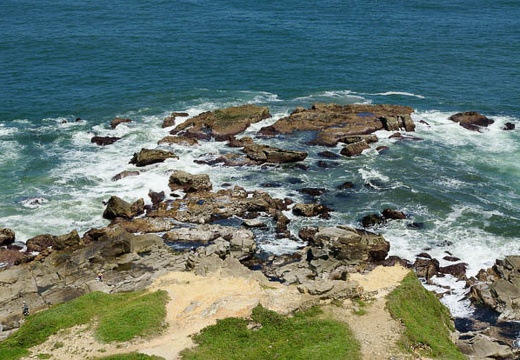201006021257-DSC04279.jpg