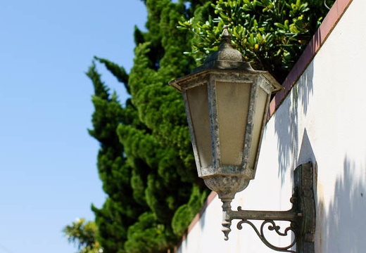 201006021351-DSC04333.jpg