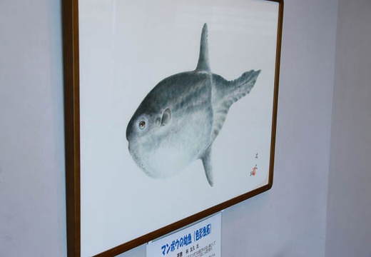 201006021418-DSC04379.jpg