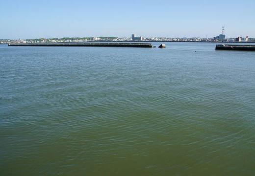 201006021455-DSC04402.jpg