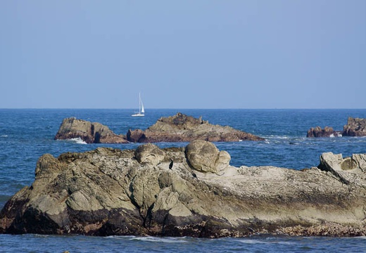 201006021606-DSC04433.jpg