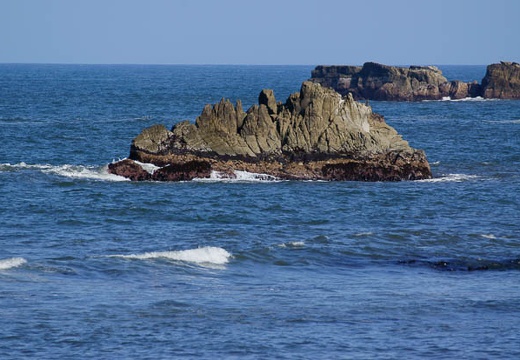 201006021608-DSC04436.jpg