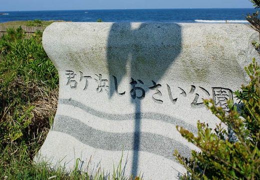 201006021620-DSC04450.jpg